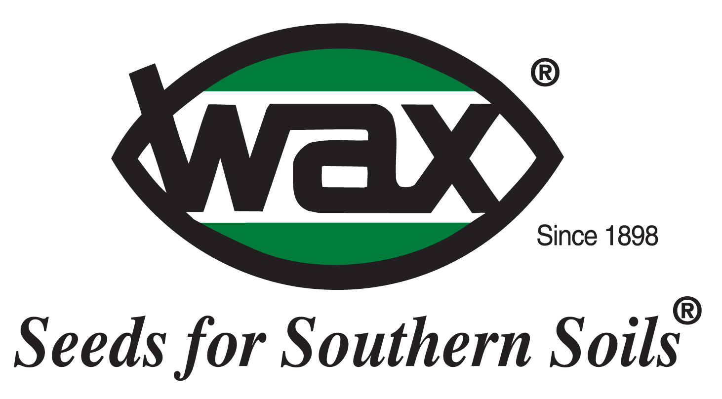Wax Seeds for Southern Soils